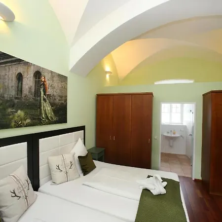 Schloss Fischhorn By Skilink Daire *